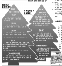 郑州市：造成古树名木死亡 最高罚100万
