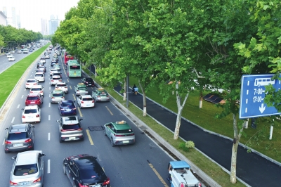 杭州16条道路上榜绿化美化路名单 快看看都是哪些道路