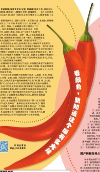 辣椒是個“寶” 河南辣椒播種面積全國排第二