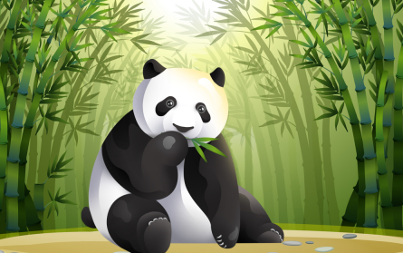 熊貓中心否認聯合美國動物園擺拍 丫丫回國了嗎？
