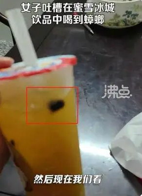 蜜雪冰城回应顾客喝到大蟑螂 顾客吃到蟑螂怎么处理？